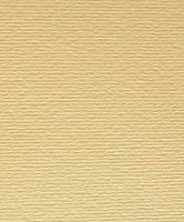 Картон для пастели и дизайна А4 Fabriano Желтый пастельный 17 220 г