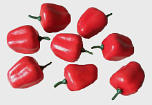 Перец Декор сладкий красный  5см  11020