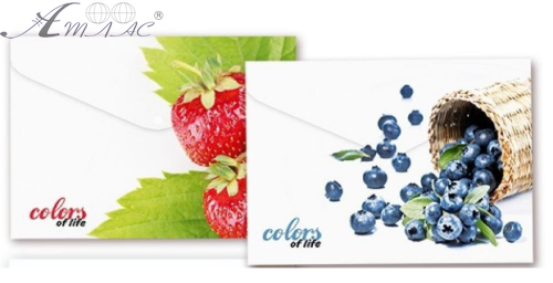 Папка-конверт А4 з кнопкою Skiper Colors of Life чорниця, полуниця SK-105cl Папка-конверт А4 з кнопкою Skiper Colors of Life чорниця, полуниця SK-105cl